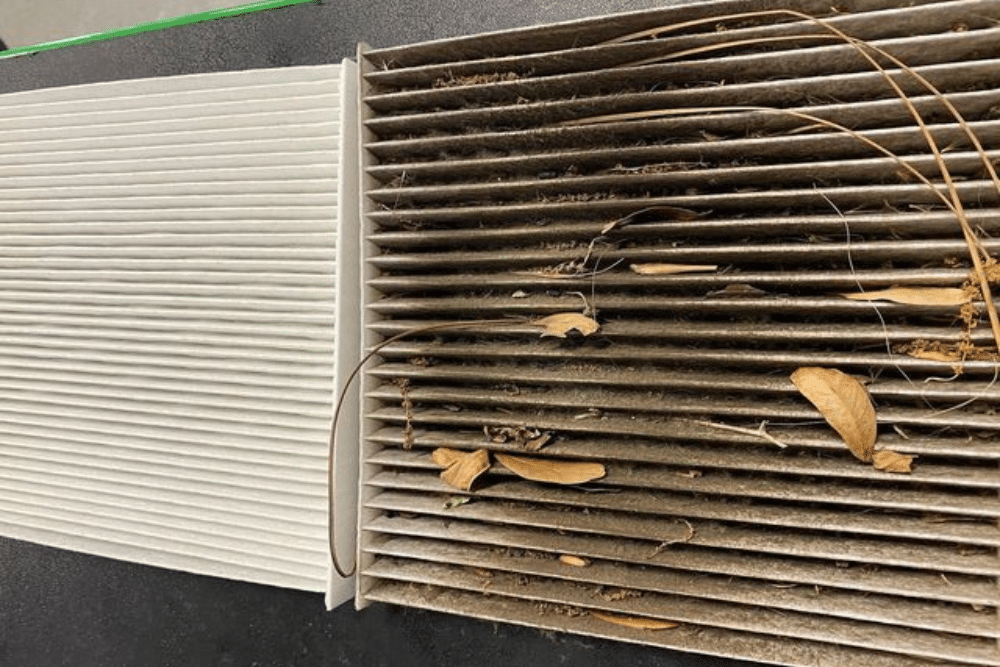 Vehicle Maintenance in Orlando, FL by Griffis Automotive Repair. Before and after image of a cabin filter